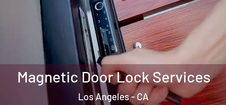 Magnetic Door Lock Services Los Angeles - CA